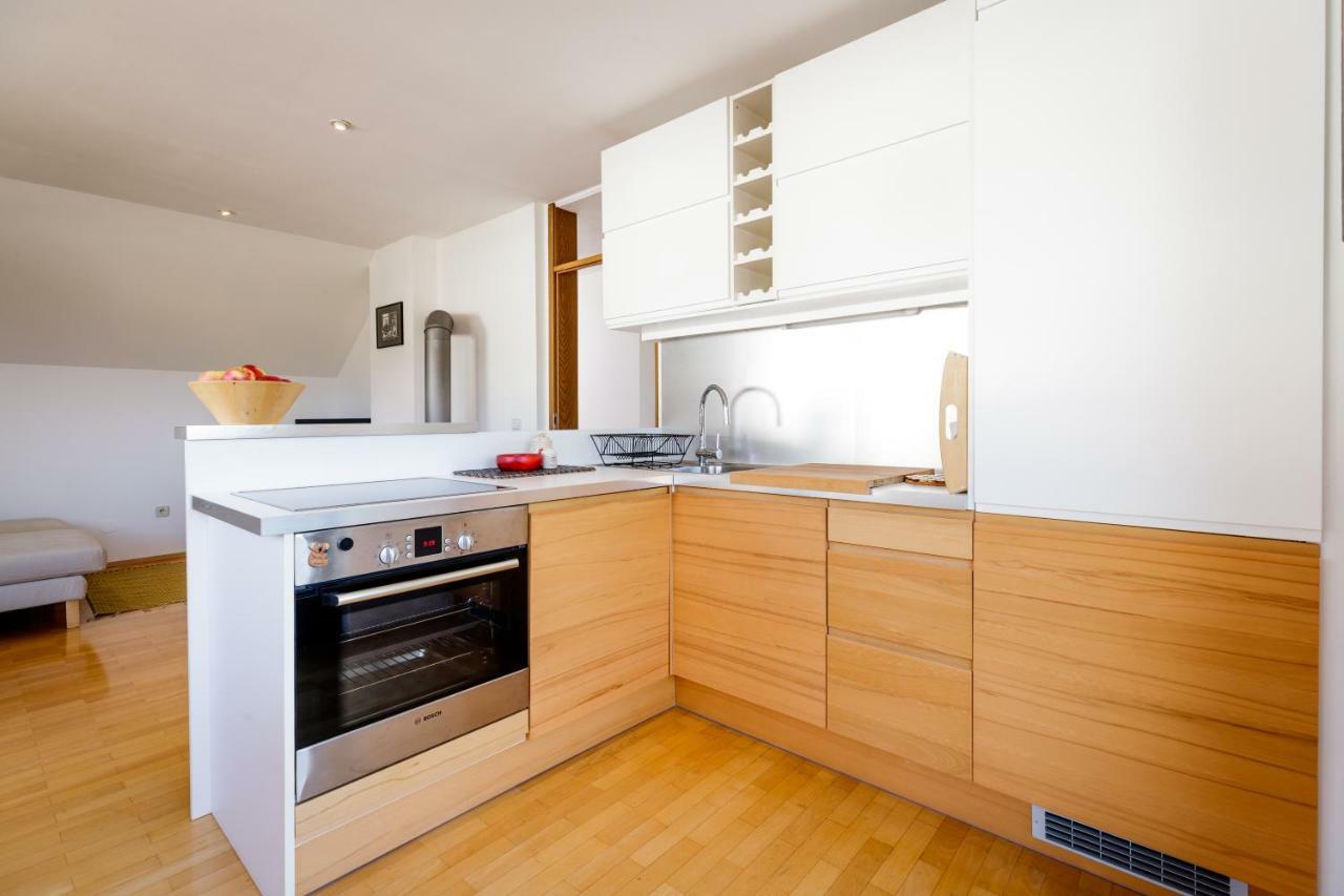 Cosy & Spacious Apt. Benc Zirovnica Dış mekan fotoğraf
