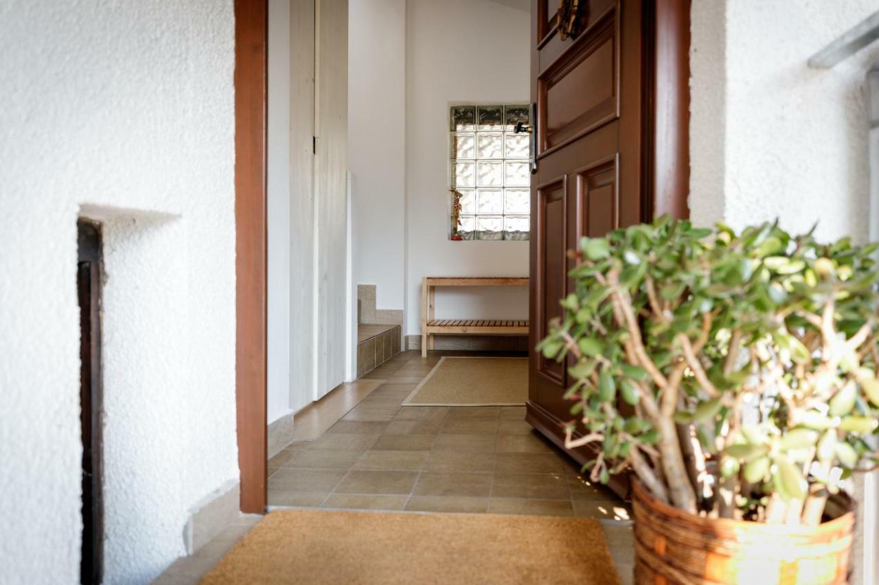 Cosy & Spacious Apt. Benc Zirovnica Dış mekan fotoğraf