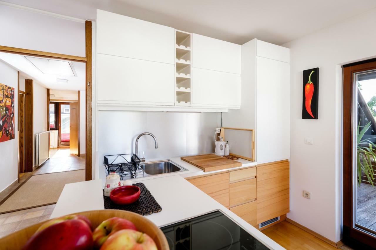 Cosy & Spacious Apt. Benc Zirovnica Dış mekan fotoğraf